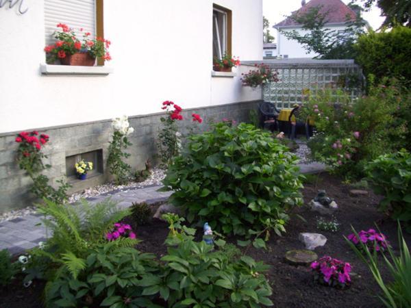 Hotel Pension Wiesenau Salzhausen エクステリア 写真
