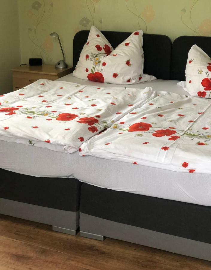 Hotel Pension Wiesenau Salzhausen エクステリア 写真